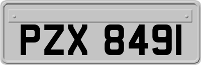 PZX8491