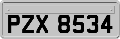 PZX8534