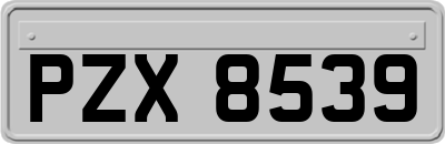 PZX8539