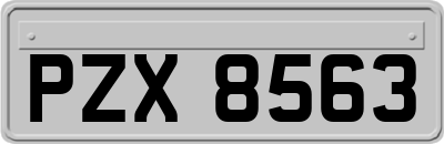 PZX8563