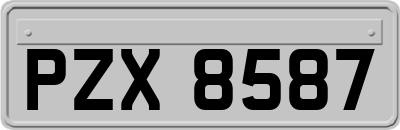 PZX8587