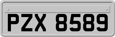 PZX8589