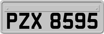 PZX8595