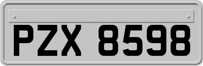 PZX8598