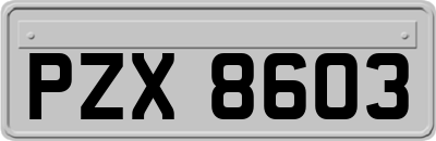 PZX8603