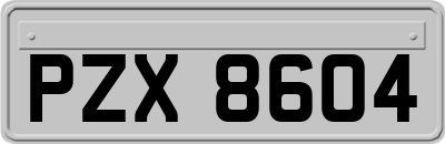 PZX8604