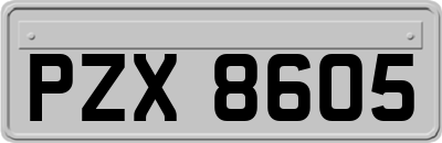 PZX8605