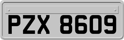 PZX8609