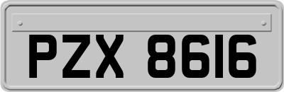 PZX8616