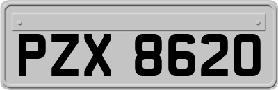 PZX8620