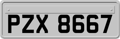 PZX8667