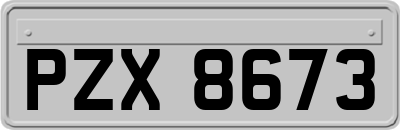 PZX8673