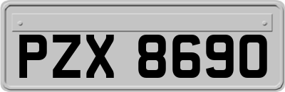 PZX8690