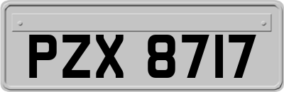 PZX8717