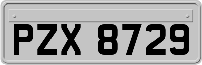 PZX8729