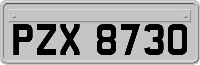 PZX8730