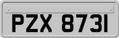 PZX8731