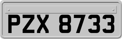 PZX8733