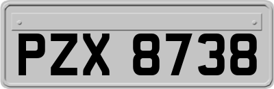 PZX8738