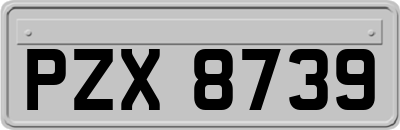 PZX8739