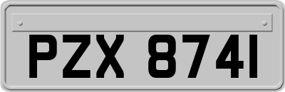 PZX8741