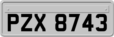 PZX8743