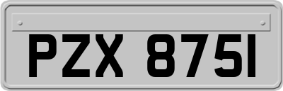 PZX8751