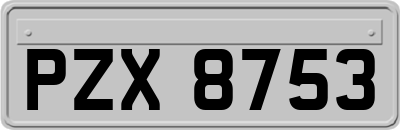 PZX8753