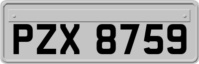 PZX8759