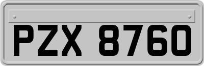 PZX8760