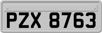 PZX8763