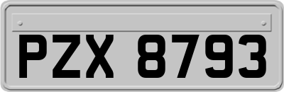 PZX8793