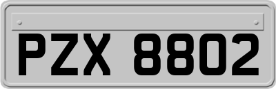 PZX8802