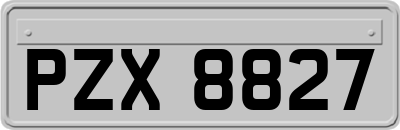 PZX8827