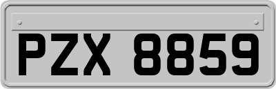 PZX8859