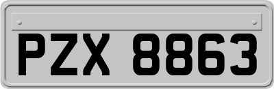 PZX8863
