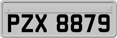 PZX8879