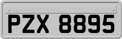 PZX8895