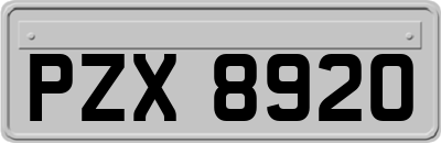 PZX8920
