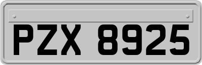 PZX8925