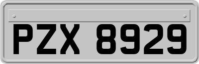 PZX8929