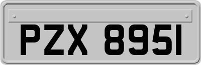 PZX8951