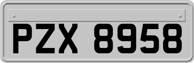 PZX8958