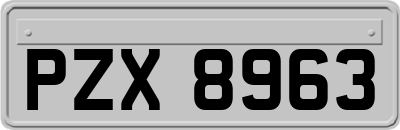 PZX8963