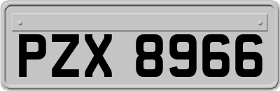 PZX8966