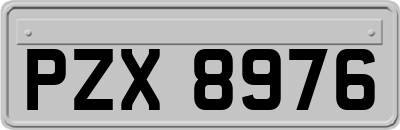PZX8976