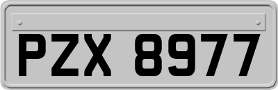 PZX8977