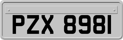 PZX8981