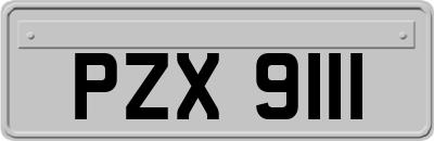 PZX9111