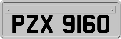 PZX9160